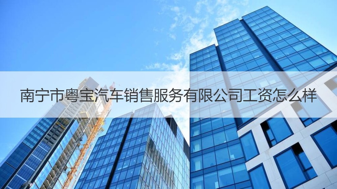 南寧市粵寶汽車銷售服務工作薪資與二手日用百貨銷售對比分析